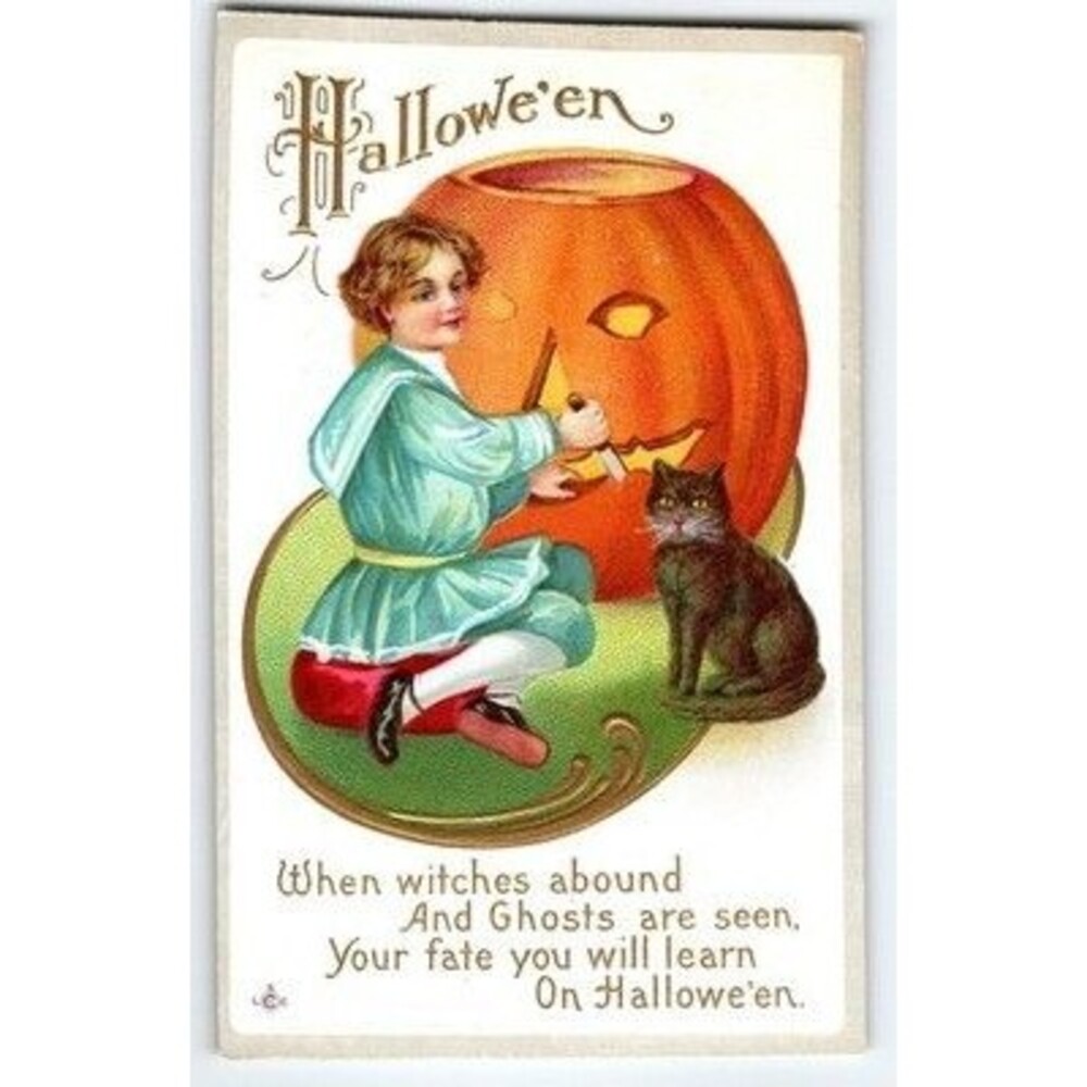 Vintage 1907 Halloween Postcard Boy Carving Jack-o'-Lantern Cat Embossed Stecher